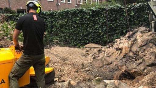 Specialist in tree uprooting Zevenaar