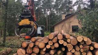 Specialist in tree uprooting Zevenaar