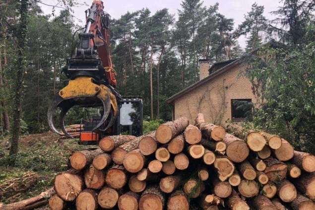 Specialist in tree uprooting Zevenaar