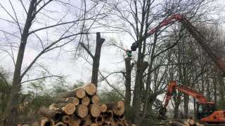 Machinaal verwijderen van de boomstronk  in Aalten