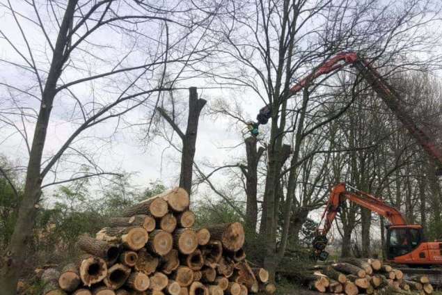 Machinaal verwijderen van de boomstronk  in Aalten