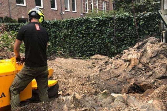 Bomen rooien Aalten