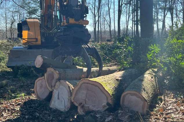 verwijderen van bomen in Best Eindhoven