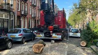 omgevallen storm <polly> boom verwijderen Amsterdam hoveniers 