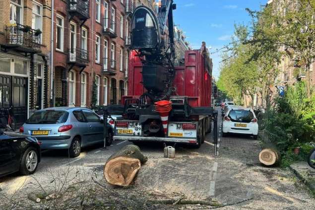 omgevallen storm <polly> boom verwijderen Amsterdam hoveniers 