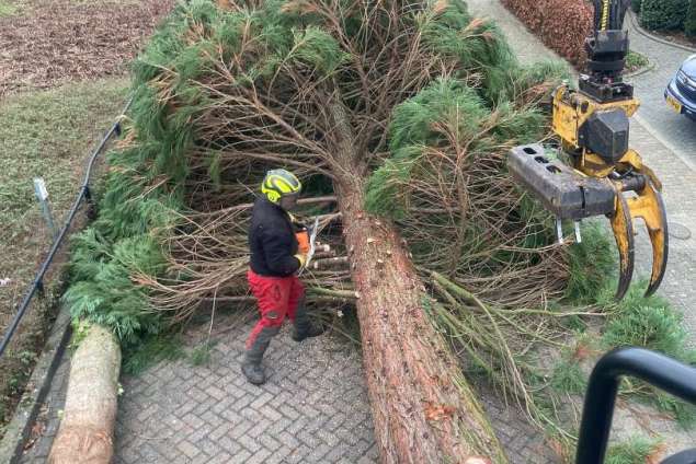 verwijderen van bomen in Eindhoven Mierlo door middel van klimmen en kraanwerk 