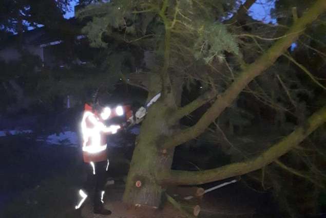 verwijderen van bomen in Eindhoven Mierlo door middel van klimmen en kraanwerk 