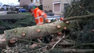 verwijderen van bomen in Eindhoven Mierlo door middel van klimmen en kraanwerk 