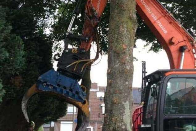 Eindhoven schutting zetten en haag verwijderen  stronken frezen