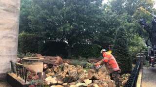 Bomen rooien Meersen zuid limburg