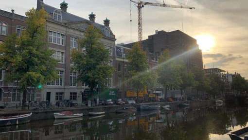 omgevallen boom opruimen Amsterdam achtertuin