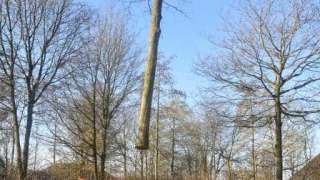 Bomen rooien in Philipine