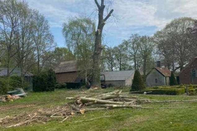 bomen rooien terschuur