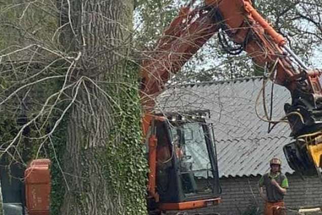 bomen rooien terschuur