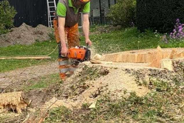 bomen rooien terschuur