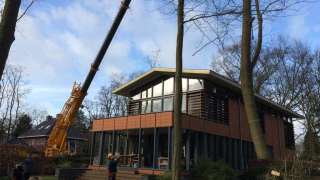 Bomen rooien Zeist 