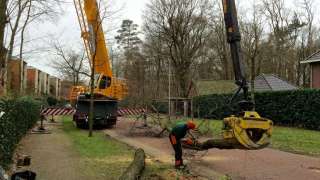 Bomen rooien Zeist 