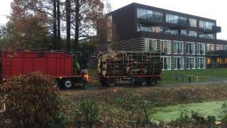 Verwijderen bomen in Zutphen