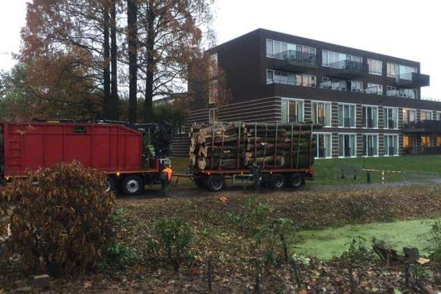 Verwijderen bomen in Zutphen