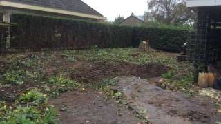 Bomen verwijderen Leersum