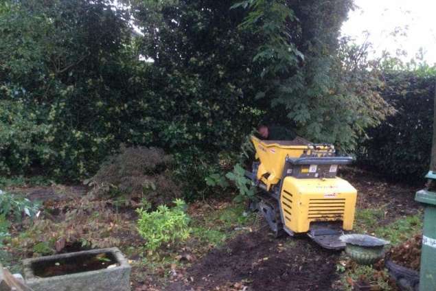 Bomen verwijderen Leersum