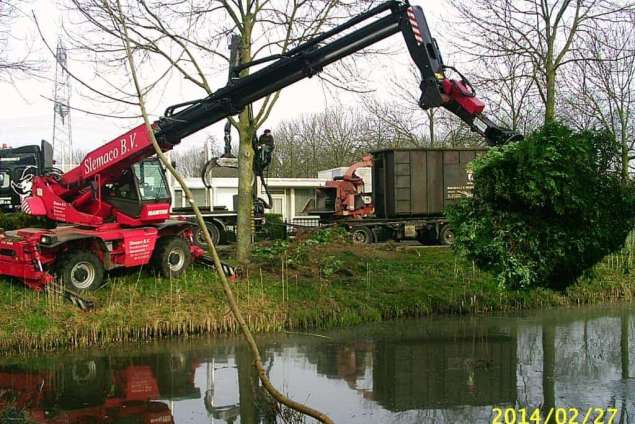 versnipperen coniferenhaag in Breda