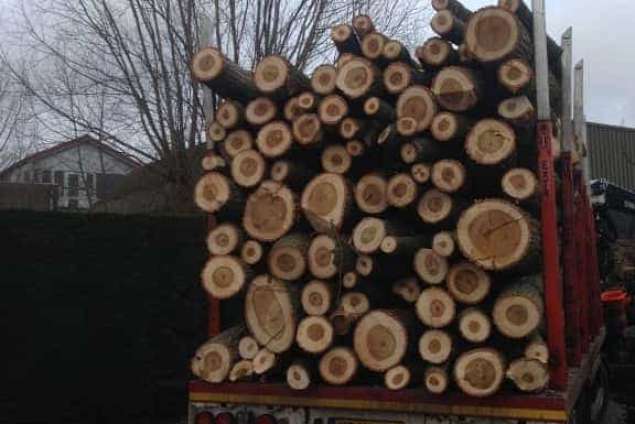 afvoeren van totaal 37.50 ton hout 