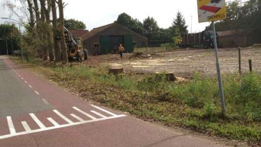 Populieren bomen rooien steenbergen