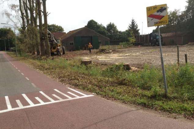 Populieren bomen rooien steenbergen