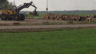 Populieren bomen rooien steenbergen