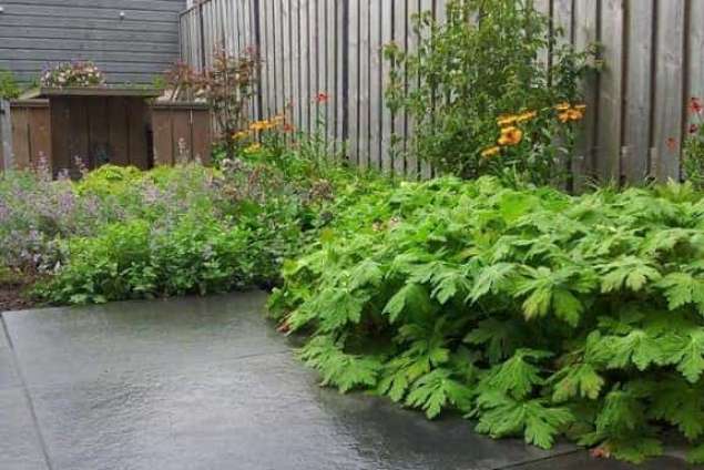 Tuin aanleggen Tilburg