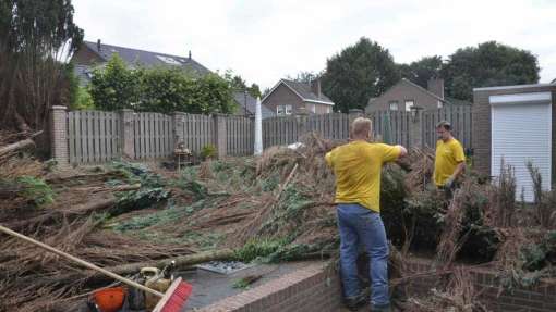 Coniferen haag verwijderen Beek