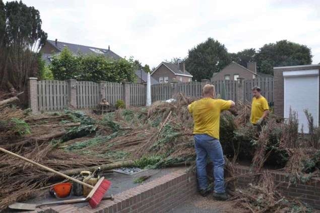 Coniferen haag verwijderen Beek