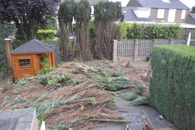 Coniferen haag verwijderen Beek