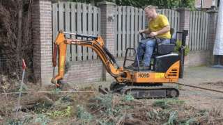 Coniferen haag verwijderen Beek