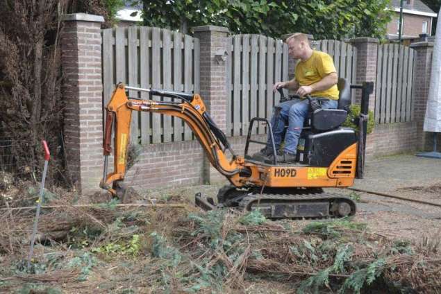 Coniferen haag verwijderen Beek