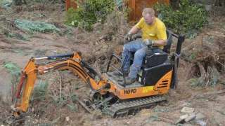 Coniferen haag verwijderen Beek