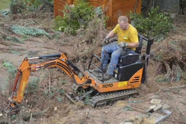 Coniferen haag verwijderen Beek