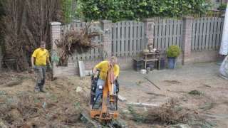 Coniferen haag verwijderen Beek