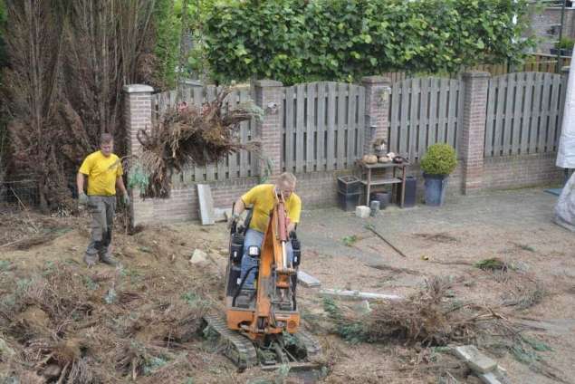 Coniferen haag verwijderen Beek