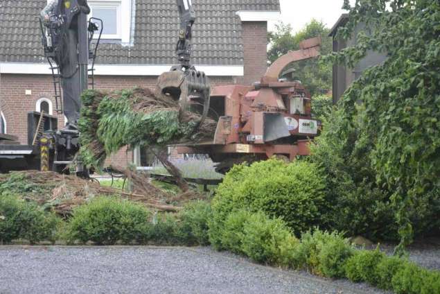 Coniferen haag verwijderen Beek