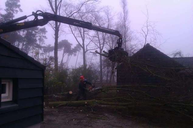 bomen kappen