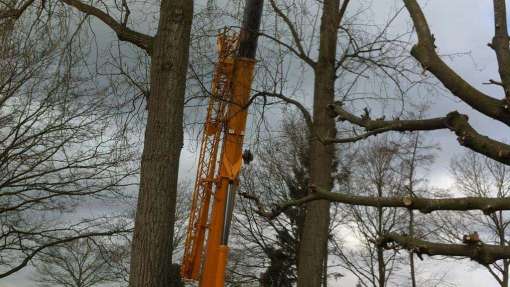 Bomen rooien Sevenum