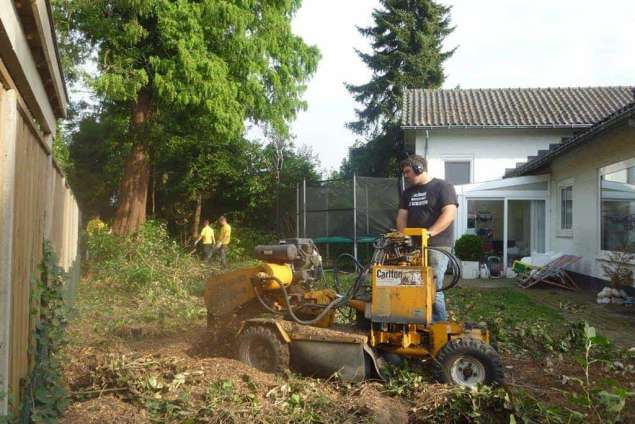 boomstronk uitfrezen in Berkel Enschot Burg. Panislaan 