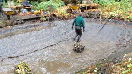 vijver schoonmaken, vijvers in Geldrop