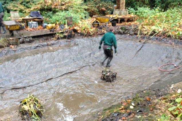 vijver schoonmaken, vijvers in Geldrop