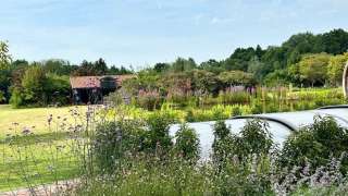 aanleggen tuin met zwemvijver, sierstraatwerk en wilde bloemen mengsel