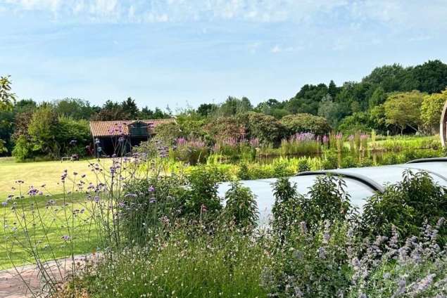 aanleggen tuin met zwemvijver, sierstraatwerk en wilde bloemen mengsel