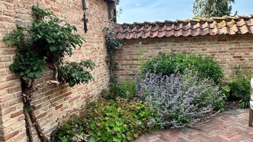 aanleggen tuin met zwemvijver, sierstraatwerk en wilde bloemen mengsel