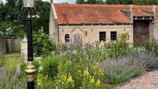 aanleggen tuin met zwemvijver, sierstraatwerk en wilde bloemen mengsel